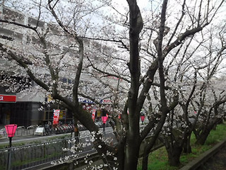 朝の武庫之荘駅前.jpg